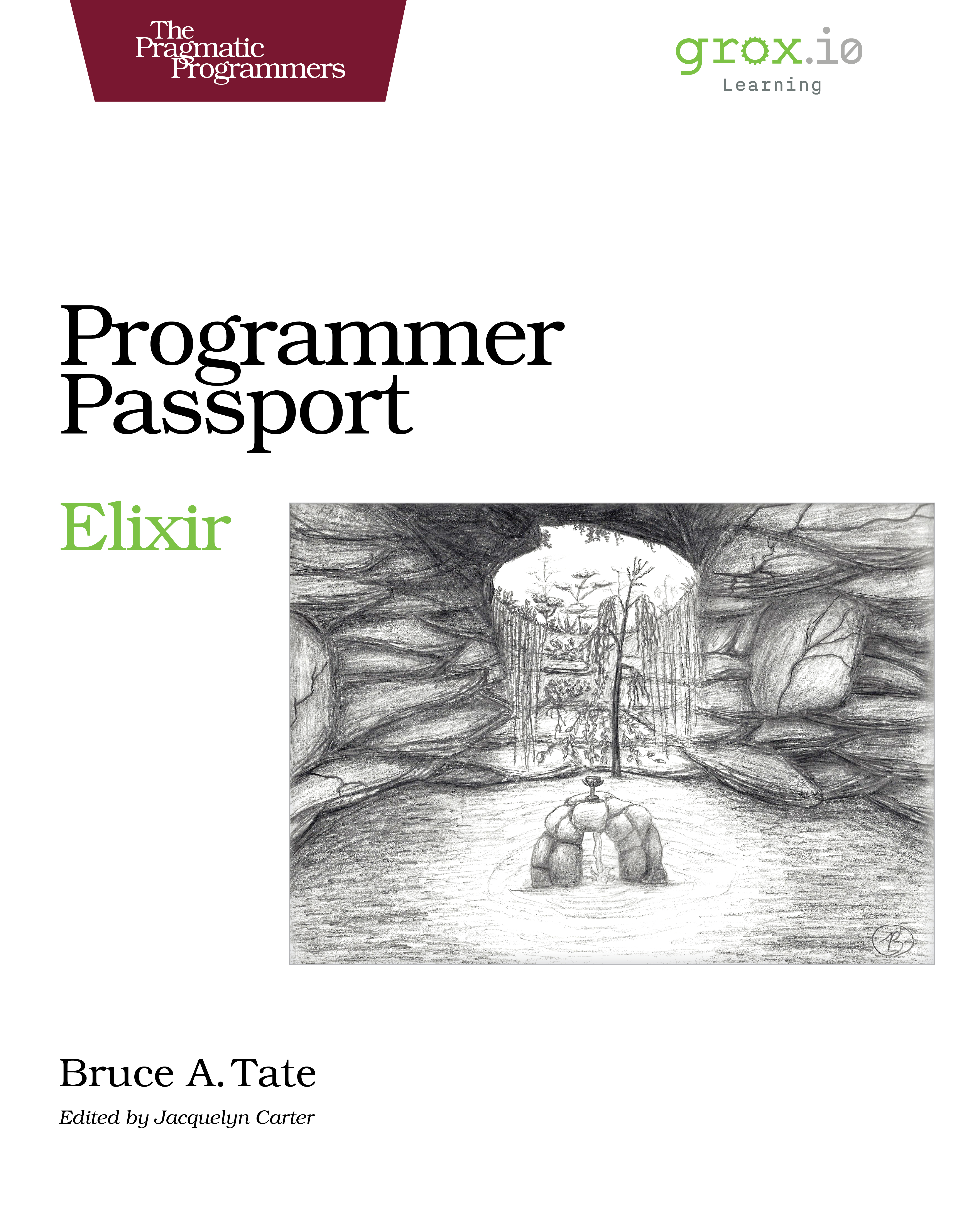 Programmer Passport Elixir