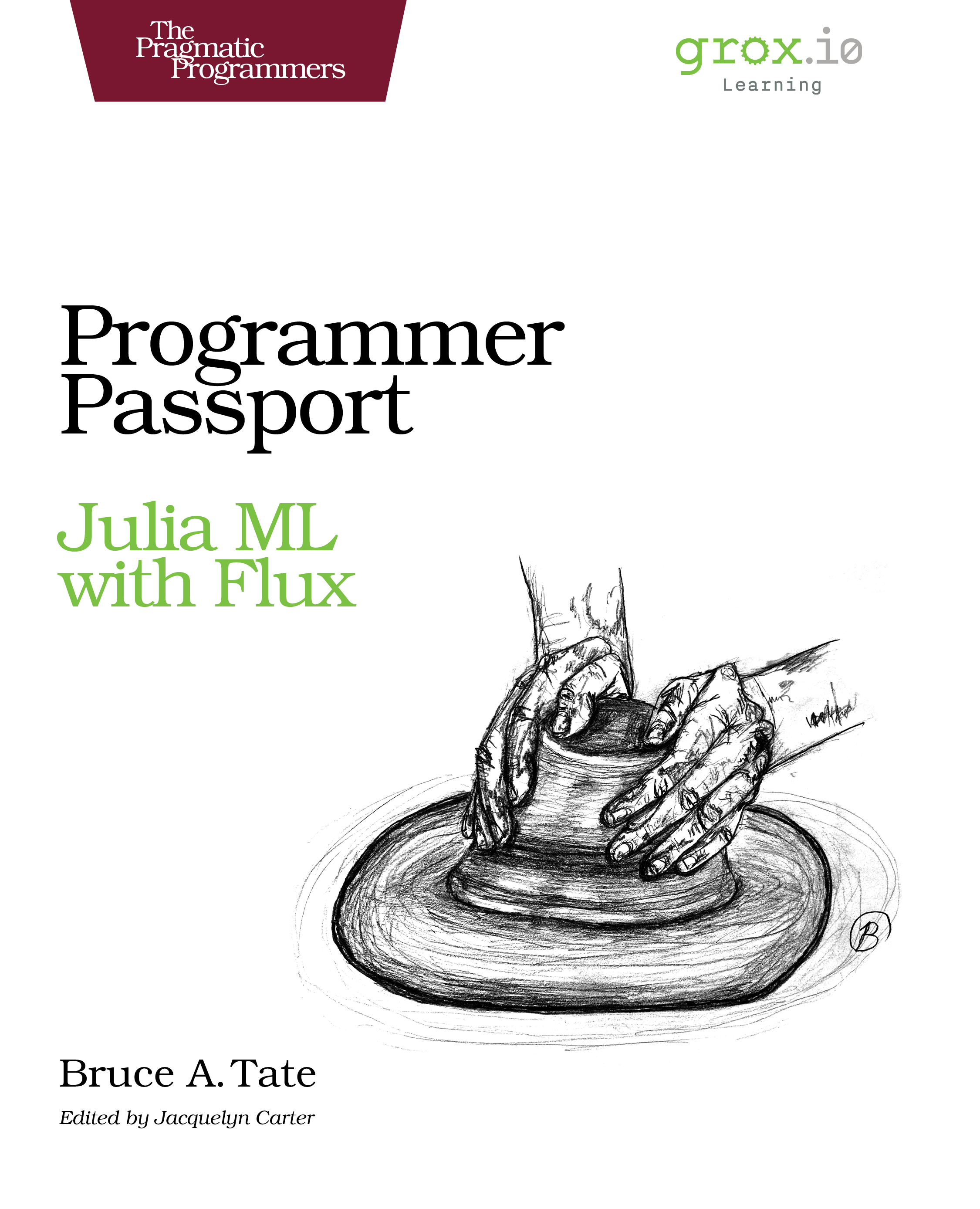 Programmer Passport FluxML