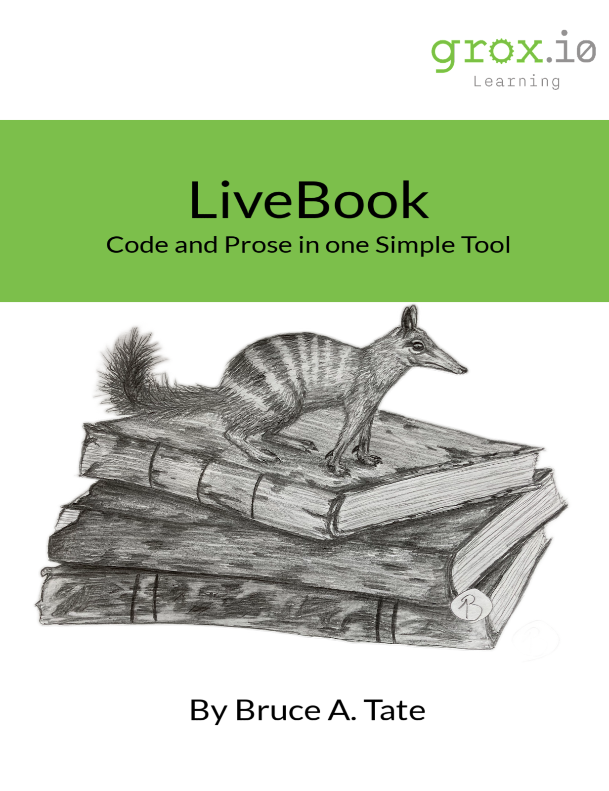 Programmer Passport LiveBook