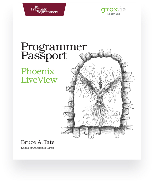 Programmer Passport LiveView Phx 1.7
